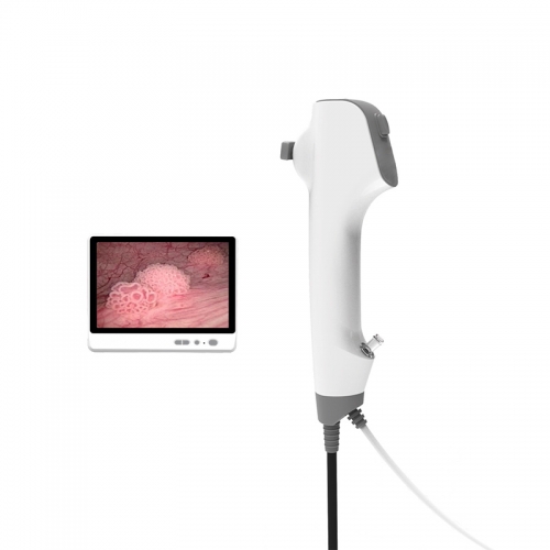 IN-DDFC Disposable Digital Flexible Cystoscope for Urology Endoscopy Equipment