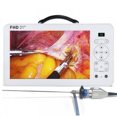 IN-GW621 Endoscopy 21 Inch Full HD Portable Endoscopy Medical Equipments ENT Endoscopy Camera