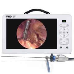 IN-GW621 Endoscopy 21 Inch Full HD Portable Endoscopy Medical Equipments ENT Endoscopy Camera