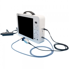 IN-GW617 17 Inch Portable Bronchoscope ENT Endoscope HD Portable Endoscope Camera System 1080P Medical Video Endoscopy Imaging System