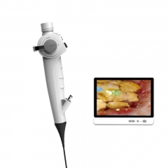 IN-RDFU High Quality Flexible Video Ureteroscope for Urological Surgery Digital Endoscope System