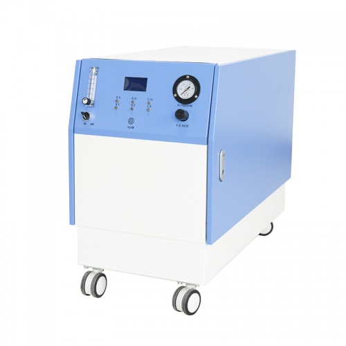 IN-10.4.0 10L Medical Equipment Portable Intelligent Home Oxygen Concentrator Dual Flow Oxygen Concentrator