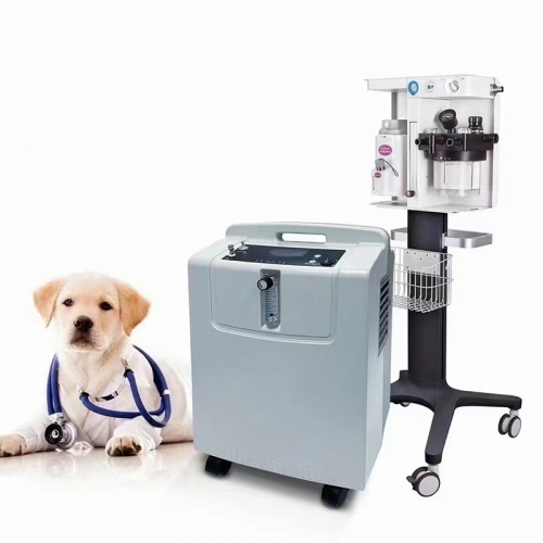 IN-5KW Veterinary Hospital Medical Equipment Oxygen Generator Concentrator Portable Oxygen Concentrator