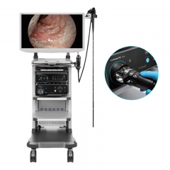 High Performance Sonoscape iEndo HD-650Exp Digital Endoscopy System with VIST SRI Imaging Technology