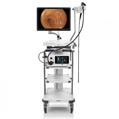 SonoScape X-2600 Medical Endoscopy System Integrated Video Endoscopy Solution
