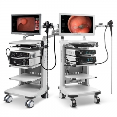 Sonoscape HD-550 Endoscopy System with SFI VIST Staining Chromoendoscopy and Multi Spectrum Imaging