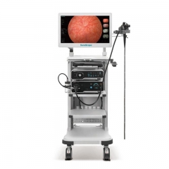 Original SonoScape VLS-55 Medical LED Light Source for Endoscopy
