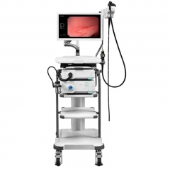 Original SonoScape HD-350 High Definition Video Endoscopy System for Hospitals