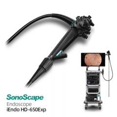 Sonoscape iEndo HD-650Exp 4K Resolution Electronic Endoscopy System with Multi-wavelength LED Light Source