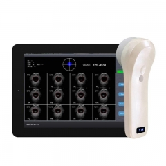 Bprobe-2 Highest Cost-Effective 4D Probe Bladder Ultrasound Scan with Array Probe