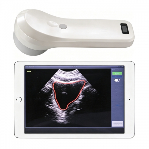 Bprobe-2 Highest Cost-Effective 4D Probe Bladder Ultrasound Scan with Array Probe
