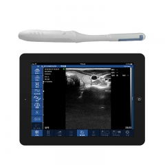 CProbe-4CR Portable Biplane Rectal Palm Doppler Ultrasound Wireless Transducer Transrectal Probe