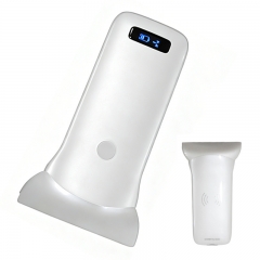 CProbe-5W Color Doppler Electric Hospital Ultrasound Scanner with Convex Linear Transducer Convex Probe