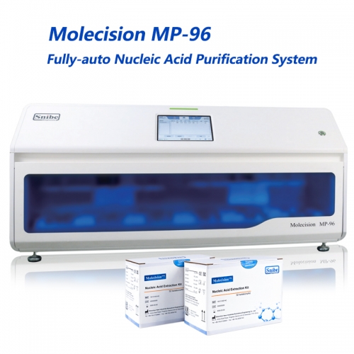 Molecision MP-96 Automated Nucleic Acid Extractor for DNA/RNA Purification 96 Sample Capacity Clinic Biochemical Analysis System