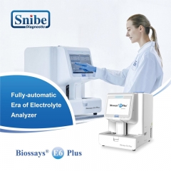 Biossays E6 Plus Good Quality Hospital Lab Equipment Blood Gas Electrolyte Automatic Blood Electrolyte Analyzer
