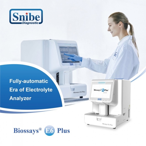 Biossays E6 Plus Good Quality Hospital Lab Equipment Blood Gas Electrolyte Automatic Blood Electrolyte Analyzer