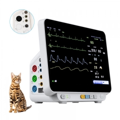 VM14Pro 14-Inch Touchscreen Animal Etco2 Blood Pressure Cardiac Multiparameter Clinic Equipment Veterinary Monitor