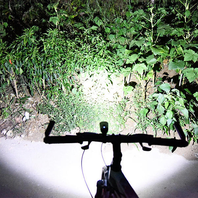 XANES SFL03 600LM XPG LED German Standard Smart Induction Bicycle Light IPX4 USB Rechargeable Large Flood Light