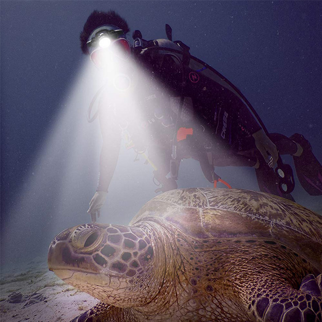 2000 Lumens CREE L2 Dive Headlamp Underwater Headlamp for Diving Swimming Submarine Head Torch Scuba Safety Lights Lamp