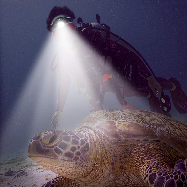 2000 Lumens CREE L2 Dive Headlamp Underwater Headlamp for Diving Swimming Submarine Head Torch Scuba Safety Lights Lamp