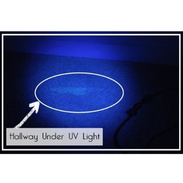 Mini Zoomable 3 Modes UV-Ultraviolet Led Blacklight Flashlight AA/14500 Rechargeable Battery Torch for Money Detector, Leak Detector