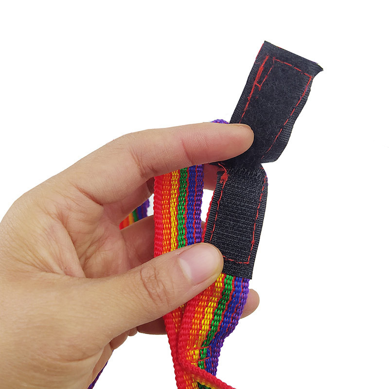 Multifunctional Thickened Lanyard Colourful Rope with Rainbow Tent Lanyard Clothesline Webbing for Outdoor Camping