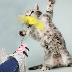 Retractable Cat Feather Toys Teaser Stick Toy Kitten for Indoor Cat Exercise Playing