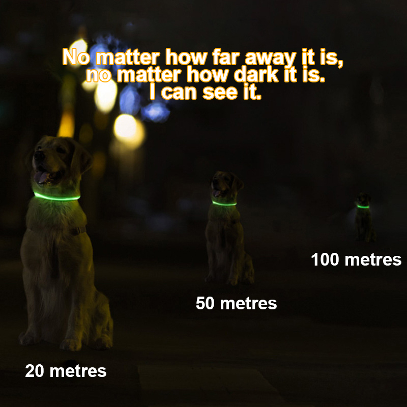 PVC Luminous Pet Collar Usb Rechargeable Dog Glow-in-the-dark Neck LED Collar
