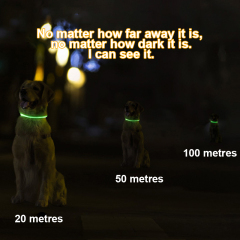 PVC Luminous Pet Collar Usb Rechargeable Dog Glow-in-the-dark Neck LED Collar