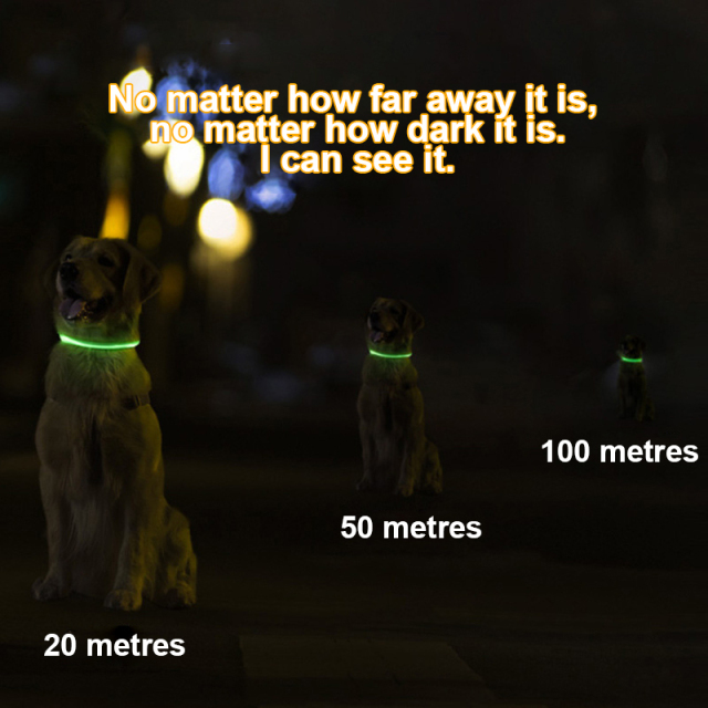 PVC Luminous Pet Collar Usb Rechargeable Dog Glow-in-the-dark Neck LED Collar
