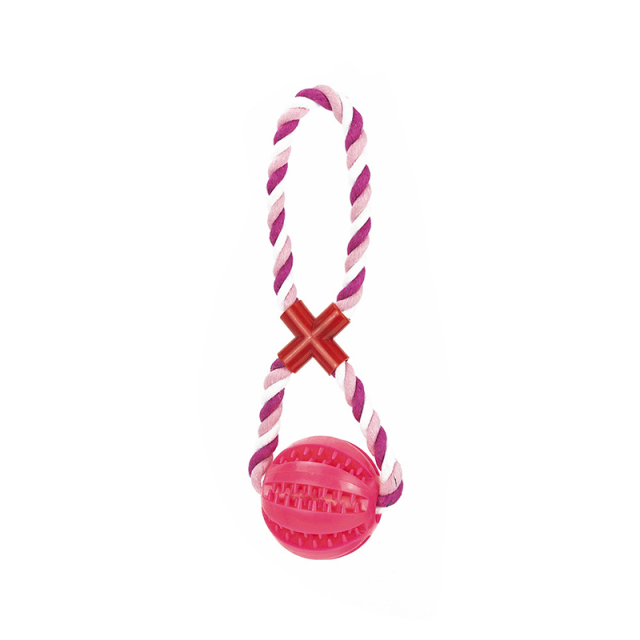 Pet Teething Silicone Toys Watermelon Leakage Ball Bite-resistant Teeth Cleaning Chewing Dog Toy