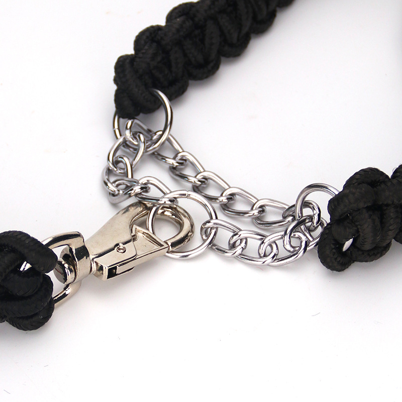 Dog Collar Leash Set Stainless Steel P Chain Training Rope for Small Medium Large Dogs