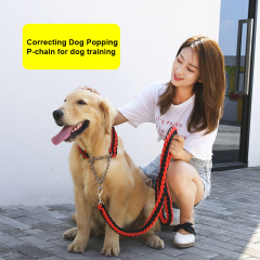 Dog Collar Leash Set Stainless Steel P Chain Training Rope for Small Medium Large Dogs