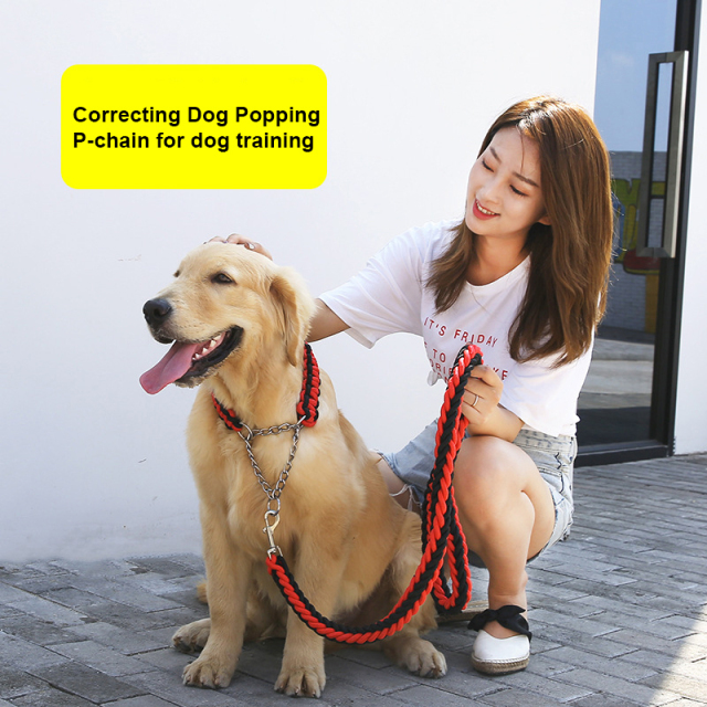 Dog Collar Leash Set Stainless Steel P Chain Training Rope for Small Medium Large Dogs