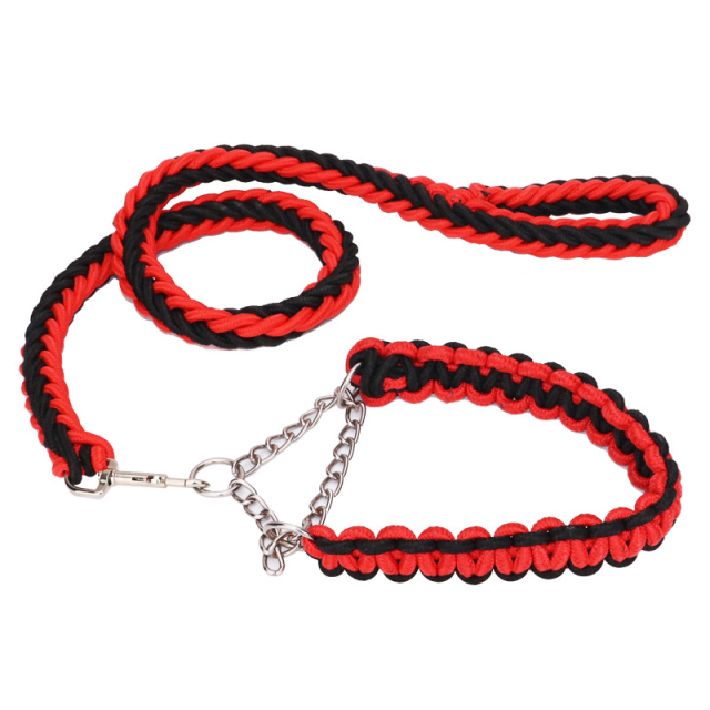 Dog Collar Leash Set Stainless Steel P Chain Training Rope for Small Medium Large Dogs