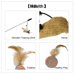 Pet Supplies Interactive Cat Toy Set Funny Cat Stick 7 Piece Feather Mouse House Toys