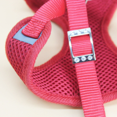 Mesh Pet Puppy Dog Vest Harness for Small Dogs Walking and Leash Set Cat Chain Leads Mascotas Accessory