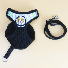 Mesh Pet Puppy Dog Vest Harness for Small Dogs Walking and Leash Set Cat Chain Leads Mascotas Accessory