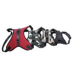 Saddle-style Anti-Pulling Dog Harness and Leash for Medium to Large Dogs