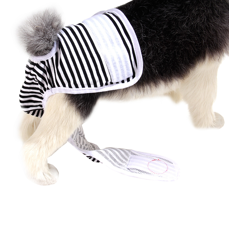 Female Dog Shorts Panties Menstruation Underwear Briefs Pet Washable Physiological Pant Diaper Sanitary Dog Pants