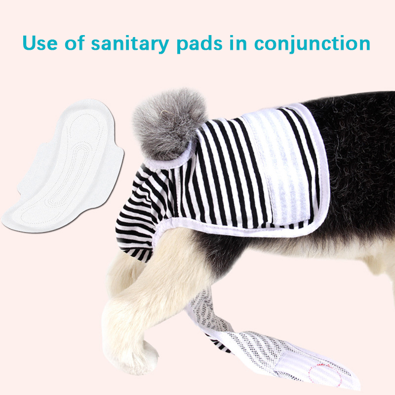 Female Dog Shorts Panties Menstruation Underwear Briefs Pet Washable Physiological Pant Diaper Sanitary Dog Pants