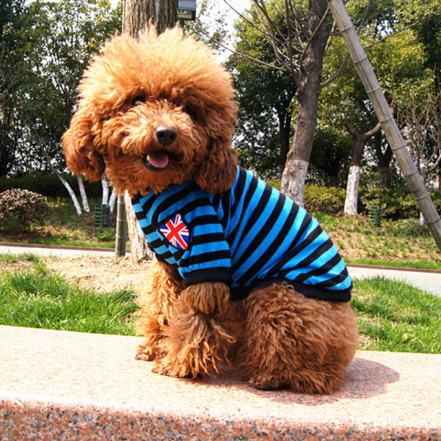 British Stylish Colorful Striped Dog Vest Casual T-shirt for Small Puppy Clothing Pet Accessoire
