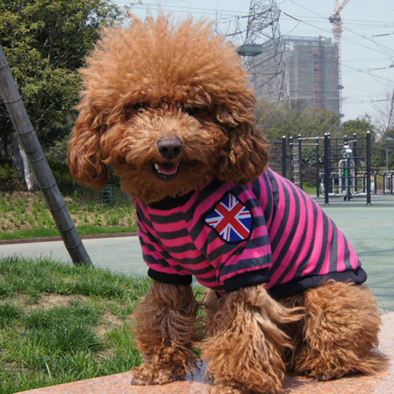 British Stylish Colorful Striped Dog Vest Casual T-shirt for Small Puppy Clothing Pet Accessoire