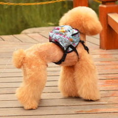 Printed Bag Pet Backpack Dog Harnesses Leashes Set Pet Chest Rope Leading Products for Animals Collar Acessorios Traction