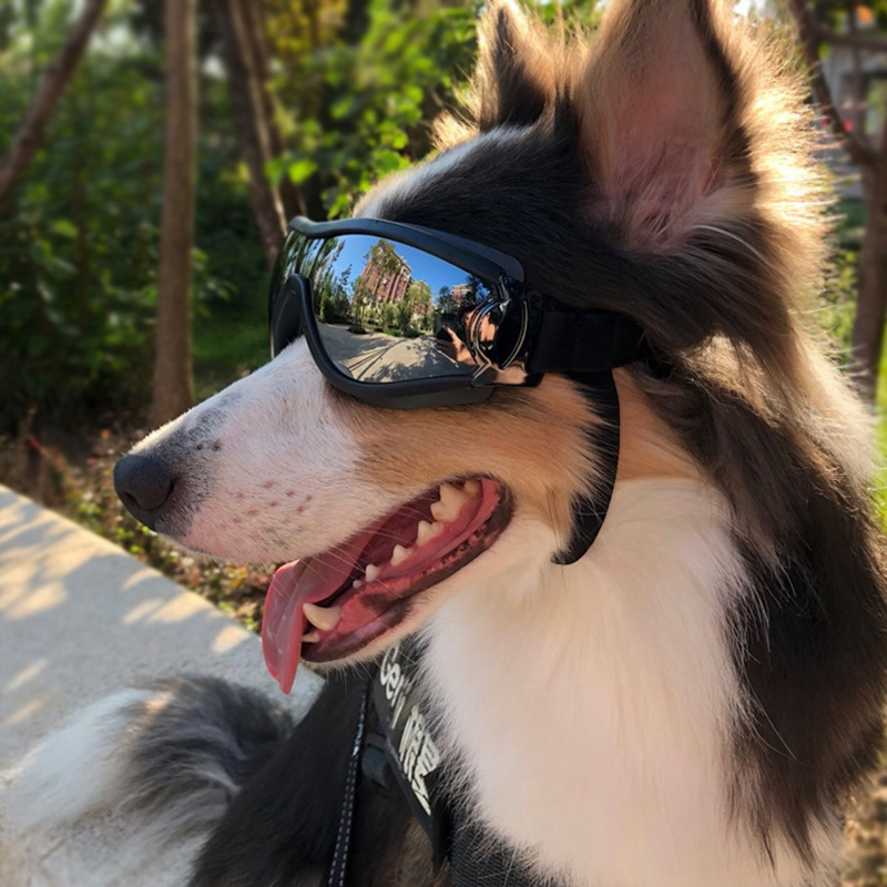 Dog Sunglasses Stylish UV Protection Pet Goggles with Lightweight Frame