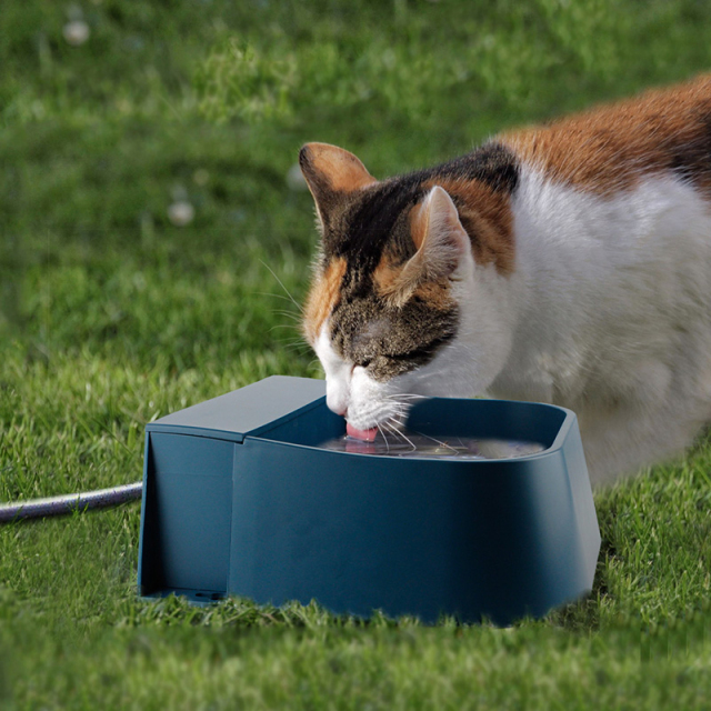 Pet Bowl Feeder Durable Abs Bowls Automatic Water Reservoir Drinker for Small to Large Sized Dog Cats