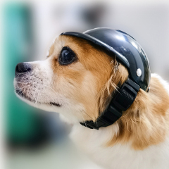 Motorcycle Pet Helmet Dog Hard Hat Windproof Snowproof Adjustable Belt Bike Cat Hat Outdoor Riding Puppy Cap