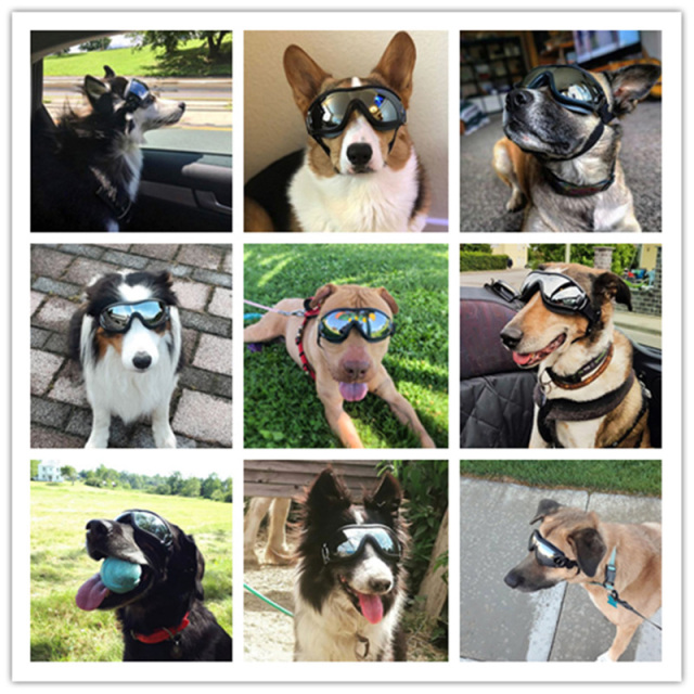 Dog Sunglasses Stylish UV Protection Pet Goggles with Lightweight Frame