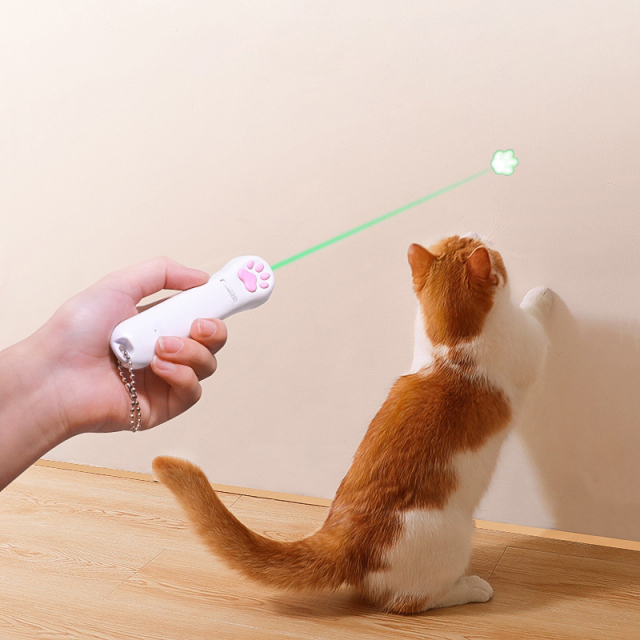 5 in 1 USB Pet LED 1mw Laser Cat Laser Transform Pattern Rechargeable Toy Interactive Bright Animation Pointer Light Pen Toys