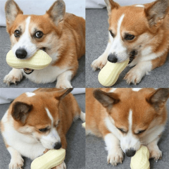 Interactive TPR Peanut Shaped Dog Toy with Sound Veggie Series Pet Play Toys